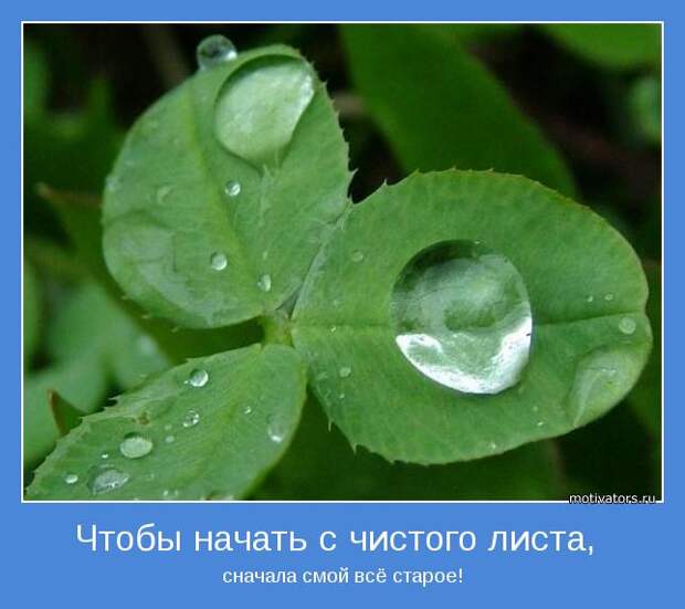 Утренние мотиваторы (78 фото) Утренние мотиваторы (78 фото)