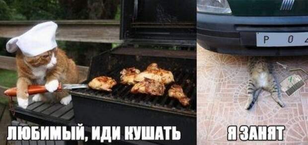 Приколы про авто...