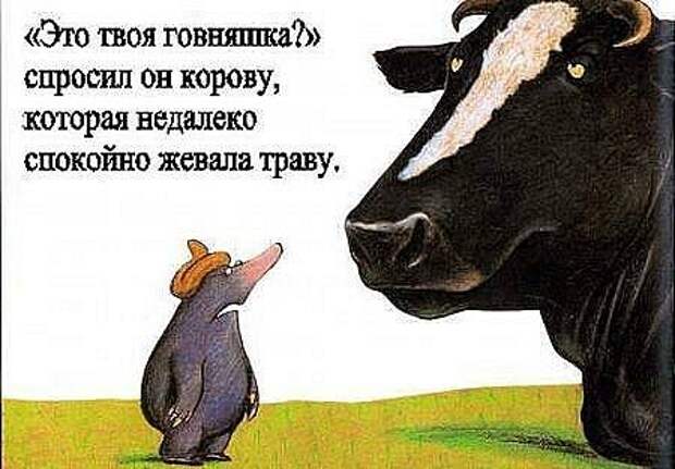 Неприятность с кротом