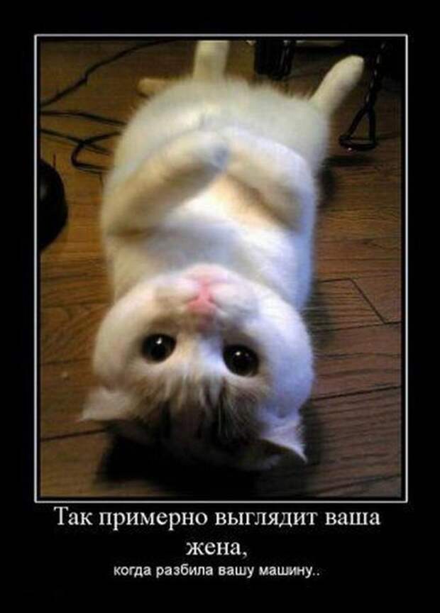 Демотиваторы (30 фото)