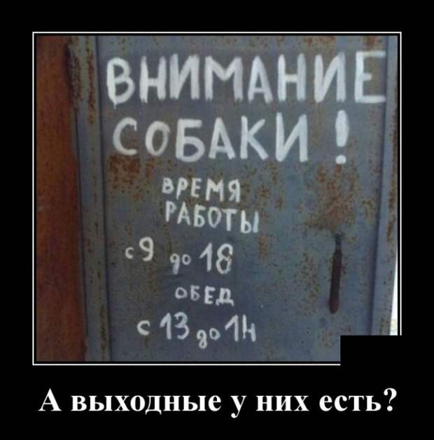 Демотиваторы (30 фото)