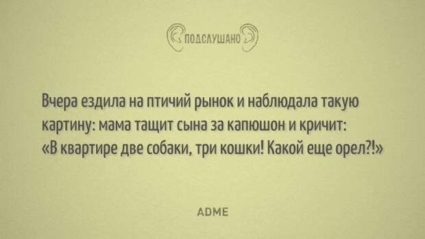 https://files7.adme.ru/files/news/part_83/836110/12288760-FF-01-650-a542d8629a-1484579664.jpg