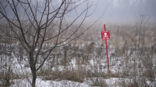 Число жертв конфликта в Донбассе среди мирных жителей ДНР превысило 5 тысяч