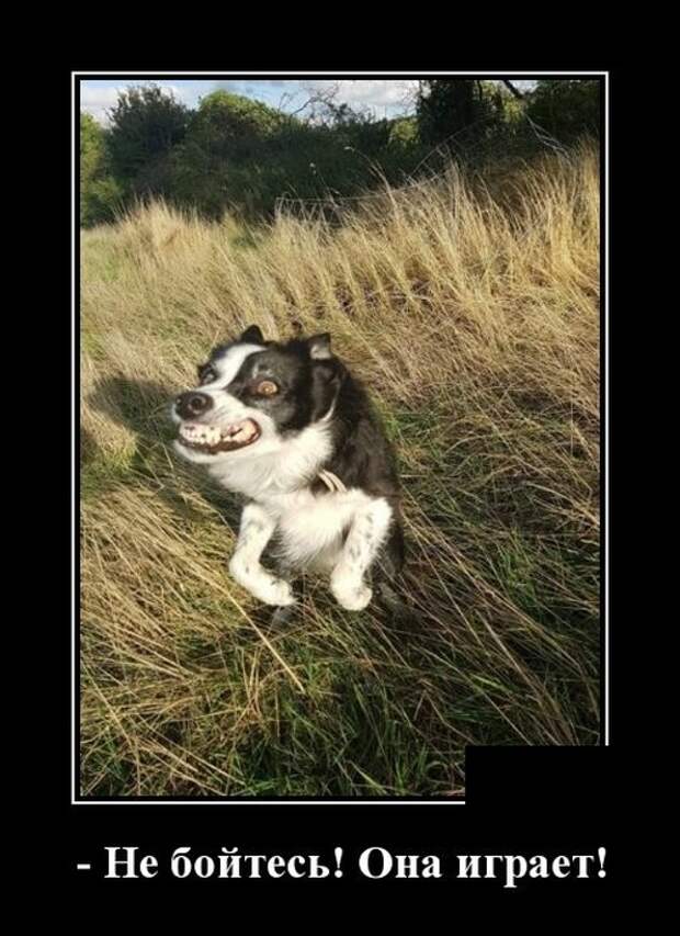 Демотиваторы Демотиваторы