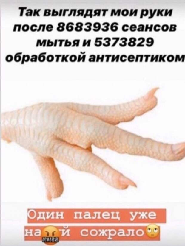 Коронавирус. 30 новых приколов