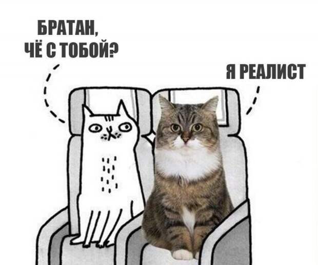 Бестолковый юмор с просторов интернета Бестолковый юмор с просторов интернета