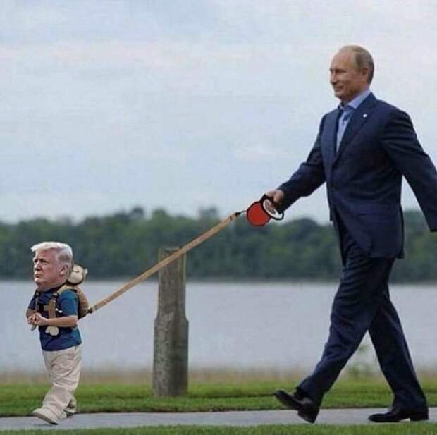 Карикатура на Трампа с участием президента России
