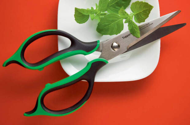 С помощью ножниц можно без особых усилий накрошить зелень.