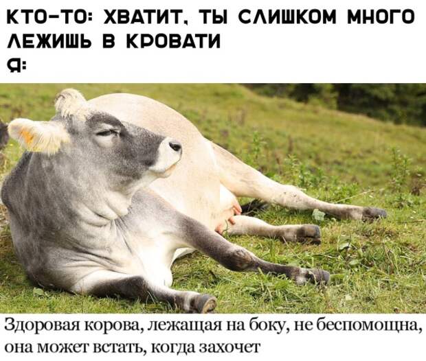 www.vsyako.net