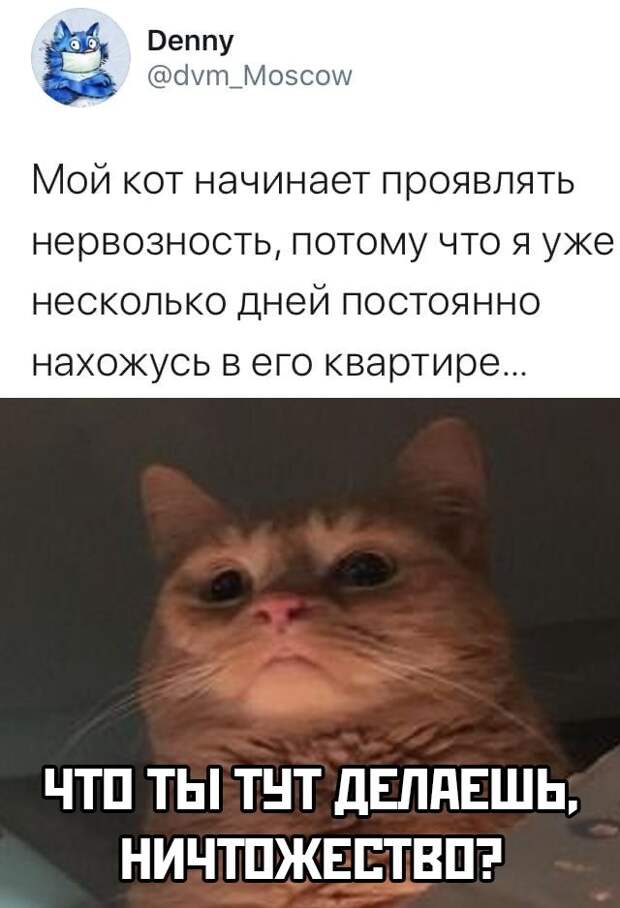 Веселые фото вечер 31 марта 2020