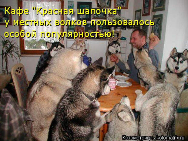 kotomatritsa_0 (604x453, 283Kb)