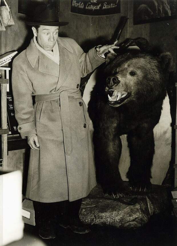 комик, юмор Джо Браун