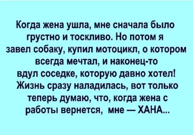 В штате Айова все хорошо. А жаль!...