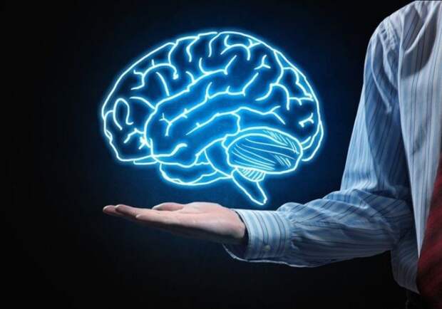 У человека чаще всего работают все отделы мозга.