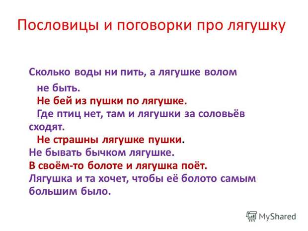 Сербские пословицы. Пословицы и поговорки о Турках. Пословицы о жабе. Поговорка про товарища. Пословицы о товарищах.