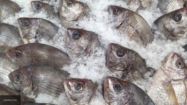 В Росрыболовстве рассказали, кто выкидывал в море пойманную рыбу в период рекордного вылова лосося