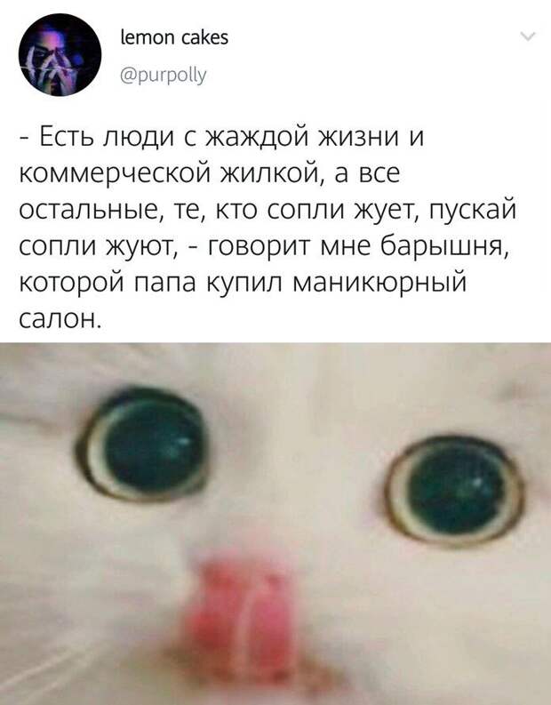 kartinok-interesnyh-prikolnyh-kartinki-smeshnye-kartinki-fotoprikoly