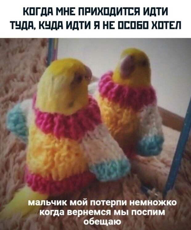Уговариваешь себя куда-то сходить