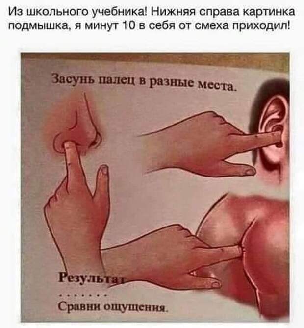 Купил освежитель воздуха на батарейках. Так он, каждые 36 минут теперь печально вздыхает...