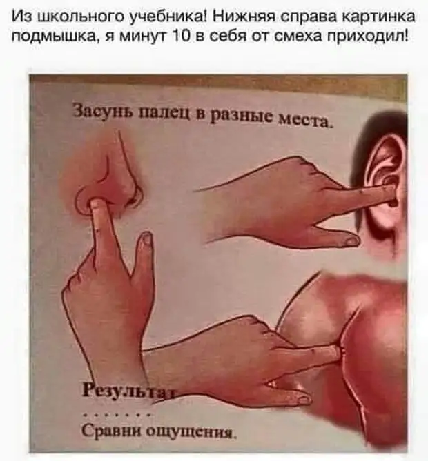 Как обьяснить своему лицу в 7 утра, что я не хочу идти на работу в мятом? букву, медведь, естедис, совесть, посчитали, неделю, уроке, время, делятся, одной, мальчик, берлоге, собак, небось, натравили, проспал, классе, молдаване, стройке, зимовал