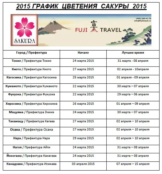 Календарь сакура. Календарь цветения Сакуры в Японии. График цветения. График цветения Сакуры. Календарь цветения Сакуры в Японии 2021.