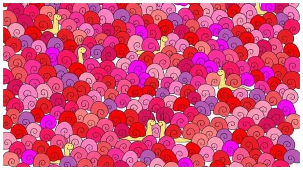 Тест на внимательность: найдите за 30 секунд сердечко на картинке с улитками