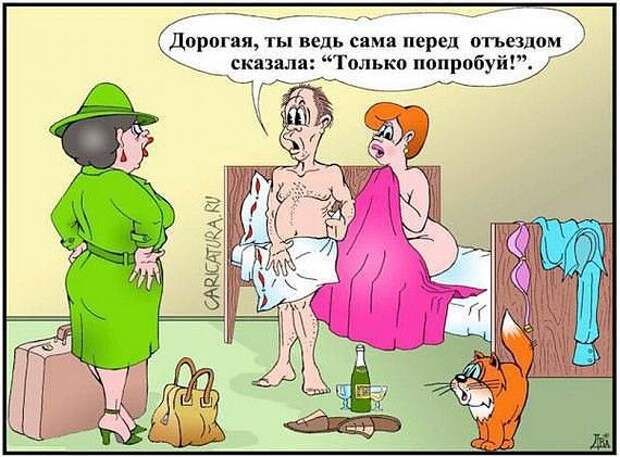 Прикольные картинки