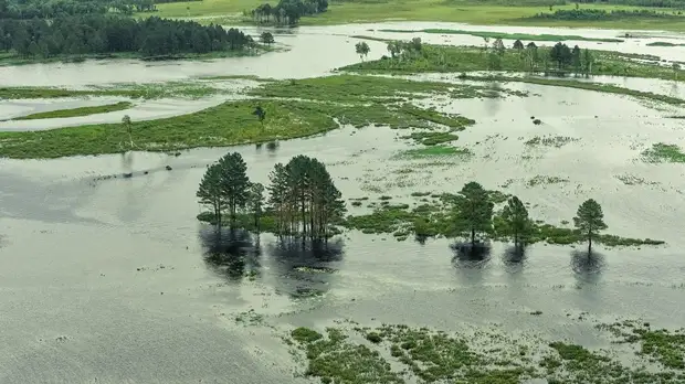 В МЧС предупредили о приближении к Хабаровску паводка