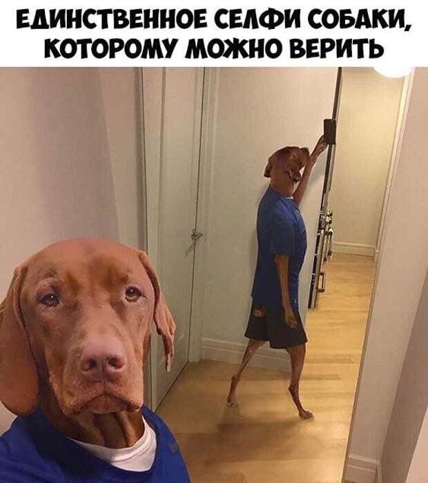 Селфи