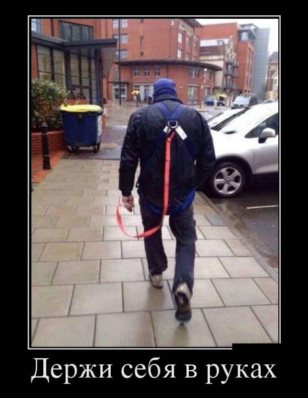 Демотиваторы Демотиваторы