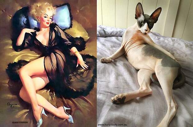 Кошки и девушки в стиле пинап pinupcats01 Кошки и девушки в стиле пинап