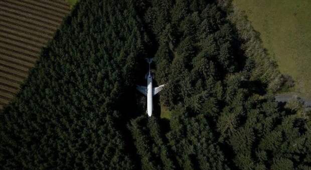 Американец 15 лет живет в самолете посреди леса
