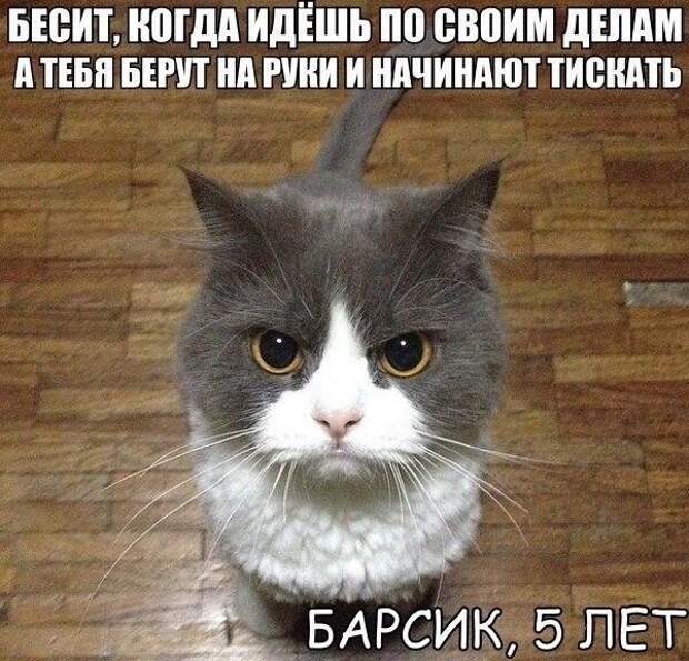 Весело до сумасшествия