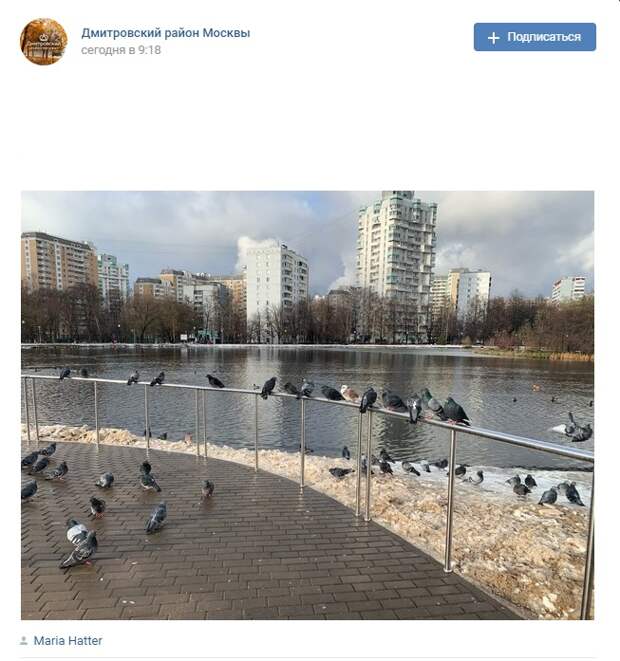 Фото дня: поручни в парке «Ангарские пруды» вернули на место