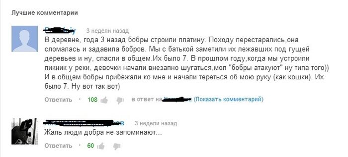 Прикольные картинки