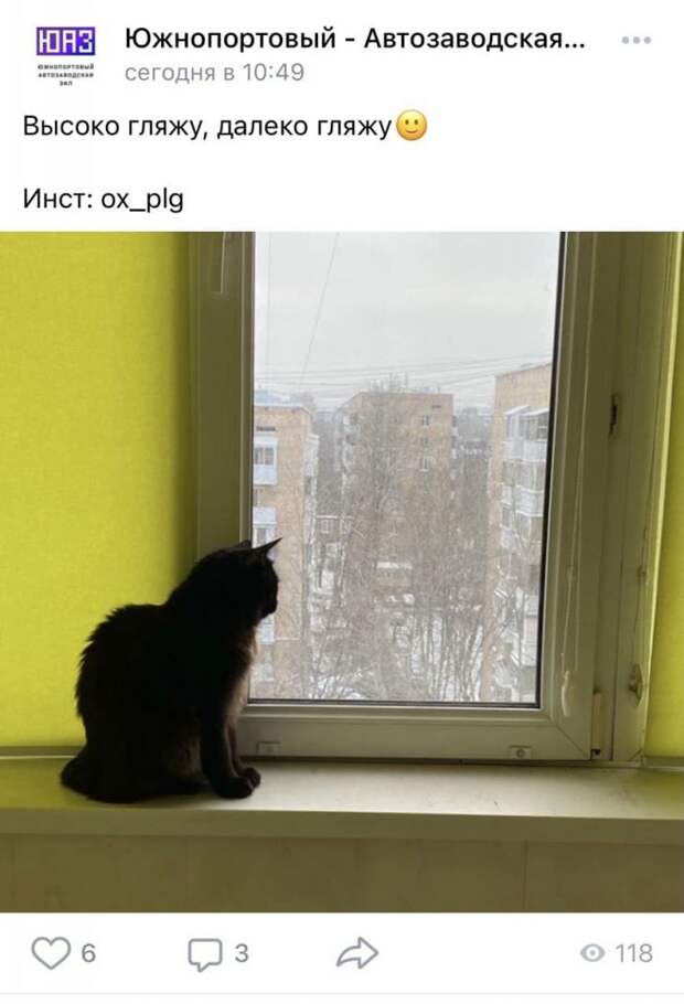Фото дня: любопытный наблюдатель из Южнопортового