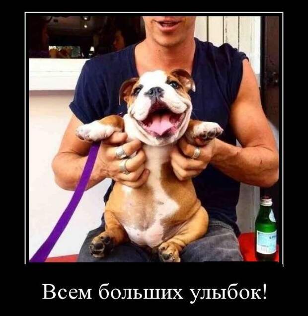 Демотиваторы смех, демотиваторы, прикол, юмор