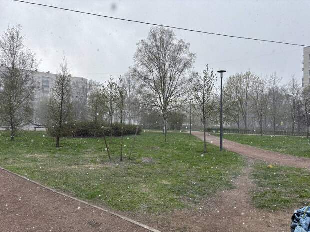 Синоптик Колесов: в Петербурге похолодает до небольшого минуса