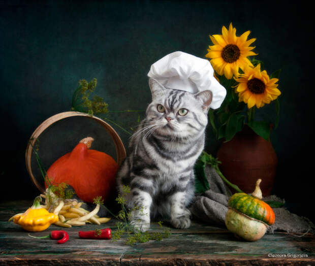 Шеф-повар. / Фото: Элеонора Григорьева.