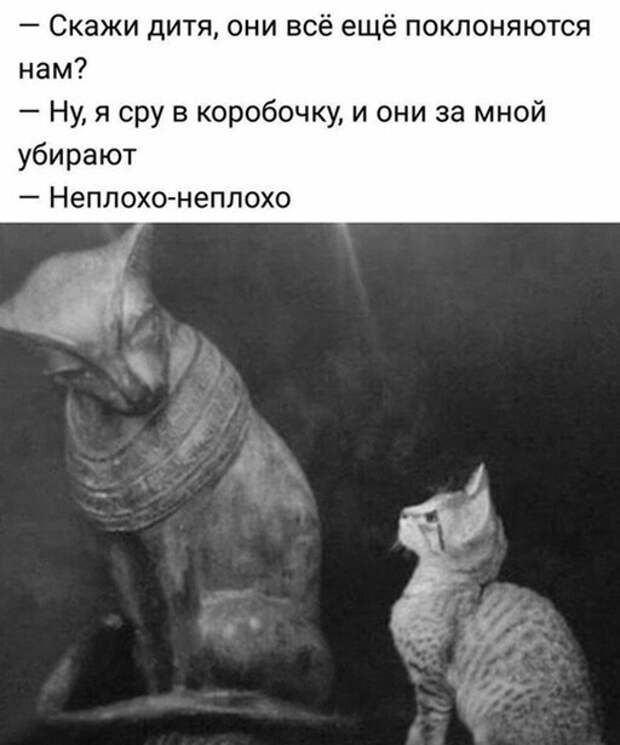 Неплохо )) Неплохо ))