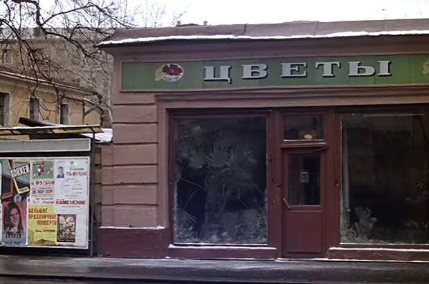Веерная пальма вашингтония стояла в магазине «Цветы на Пречистенке».