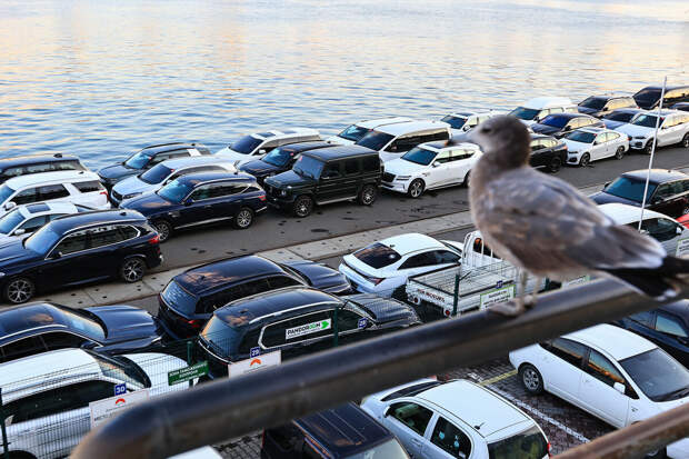 Казахстан готовит проект повышения утильсбора на авто из России