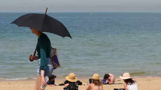 В Австралии зафиксирована рекордная жара