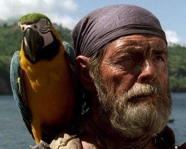 Пират с попугаем на плече фото