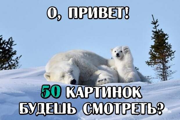 Фото Кончай Работу