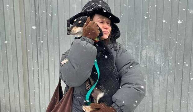 Больше 100 животных из городских приютов нашли новый дом за праздники