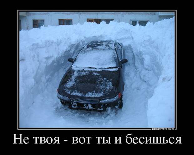 Демотиваторы бревно, демотиваторы, юмор