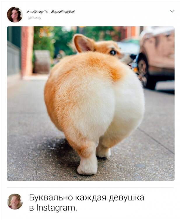 Забавные комменты от пользователей сети с интересными взглядами на мир Забавные комменты от пользователей сети с интересными взглядами на мир