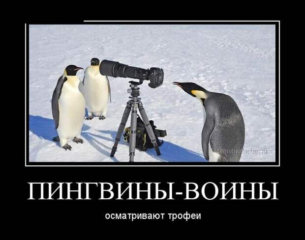 Демотиваторы (30 фото)