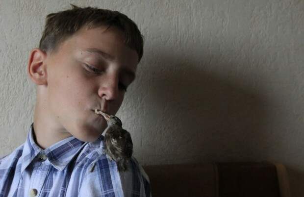 Veligurov feeds Abi, a wild sparrow, an ice cream cone inside his grandmother's house in the town of Minusinsk